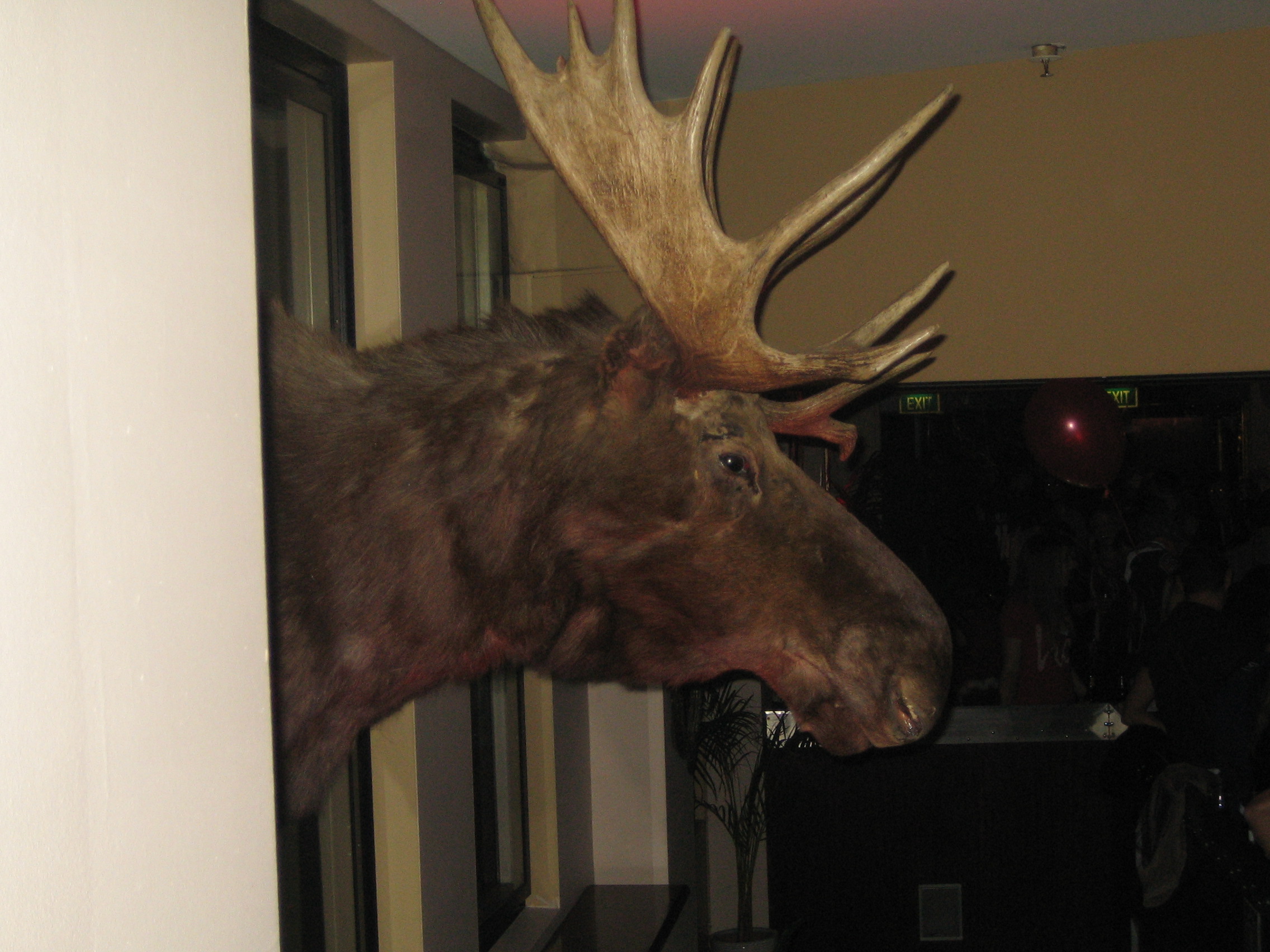 network canada events